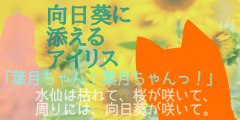 幾度目かの向日葵に桜が咲く