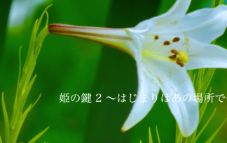 姫の鍵　２　〜はじまりはあの場所で〜