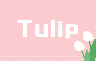 Tulip