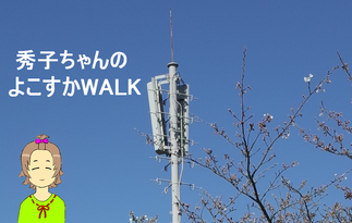 秀子ちゃんのよこすかWALK