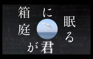 箱庭に眠る君が