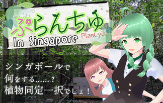 ぷらんちゅ In Singapore（ぷらんちゅ2）