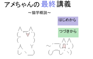 アメちゃんの最終講義