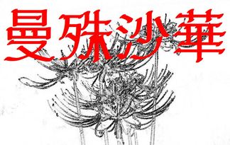 曼殊沙華