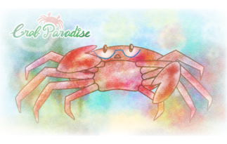 Crab Paradise（クラブ・パラダイス）