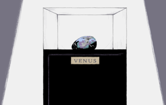 VENUS