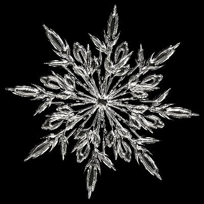 黒い雪