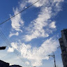 シリムプ