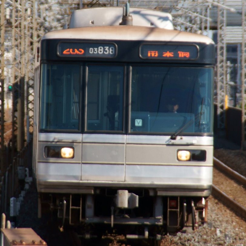 こまくさ