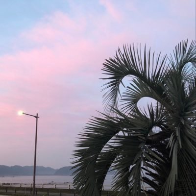 TakaFü