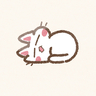 見知らぬ猫