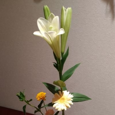 二週