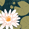 とと