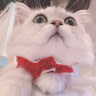 ねこねこ