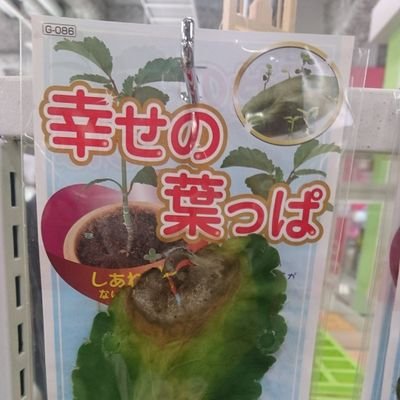 寒天心