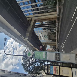 ガッツの塊だ
