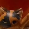 ルナダヨー