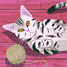 まめちき