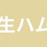 生ハム