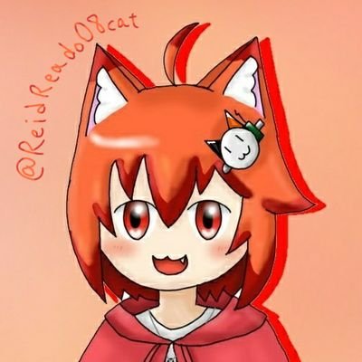 レイドRead
