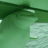 しののの