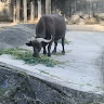 徳永豪輝