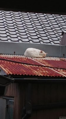 タタナ