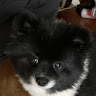 松島隆二