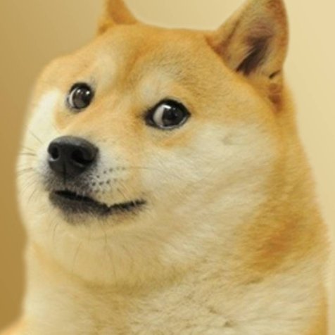 doge