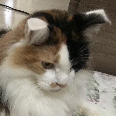 きづき