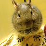 あると3cm