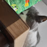 土生凌