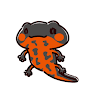 マカダミアナッツ