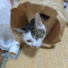 りお
