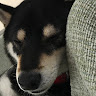 吉澤里紗