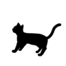 りなりは