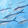 Acutiramus