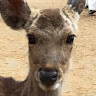 なな