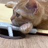 ゆうきち