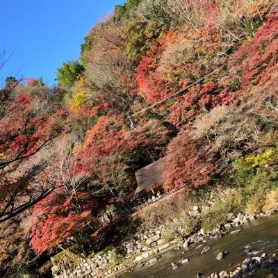 みひもり