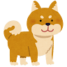 柴犬