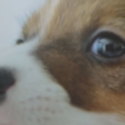 なんでだろう？