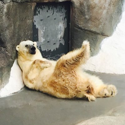 まじこでらっくす
