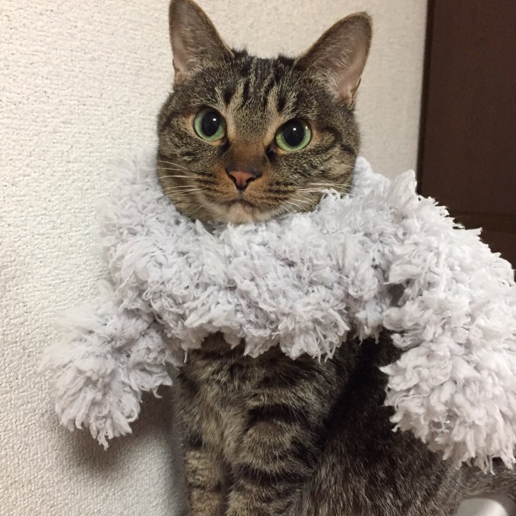 ぺんたろう