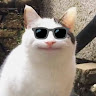 おかのゆづき