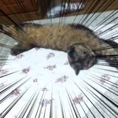 サノ◉〜〜〜◉