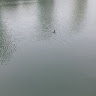 문근영