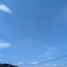 ベルル