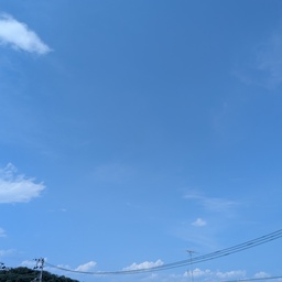 ベルル