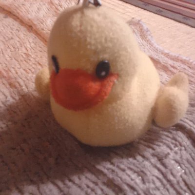くまみよ